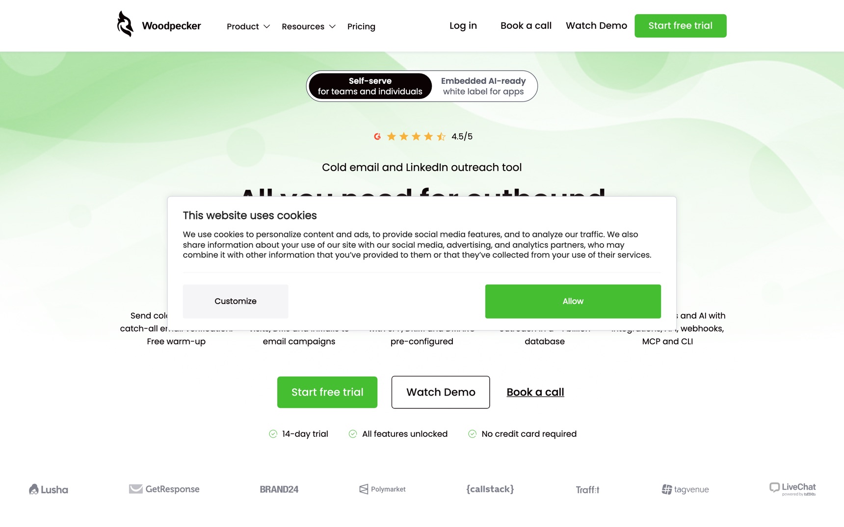 Strona główna — Woodpecker.co, zrzut ekranu